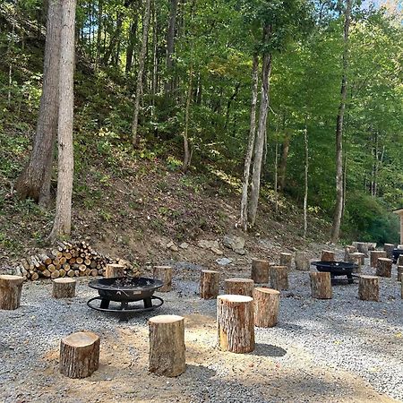 Cozy Cove Retreat W Lake View Hot Tub Firepit Dandridge Buitenkant foto