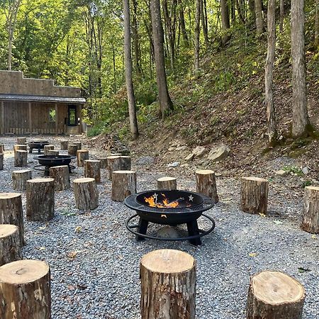 Cozy Cove Retreat W Lake View Hot Tub Firepit Dandridge Buitenkant foto