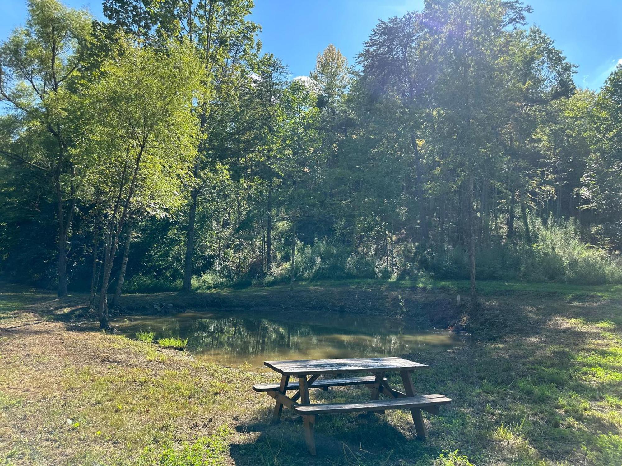 Cozy Cove Retreat W Lake View Hot Tub Firepit Dandridge Buitenkant foto
